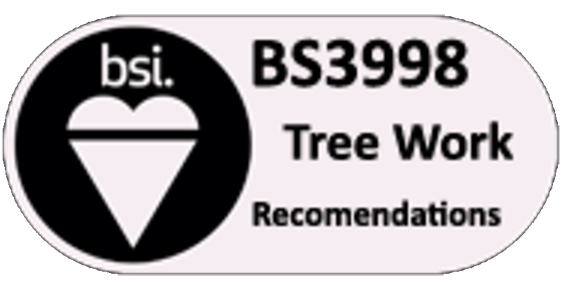bsi